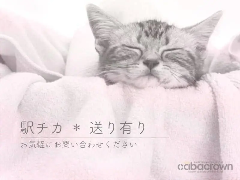 CLUB The Celebrity （セレブリティ）の写真3