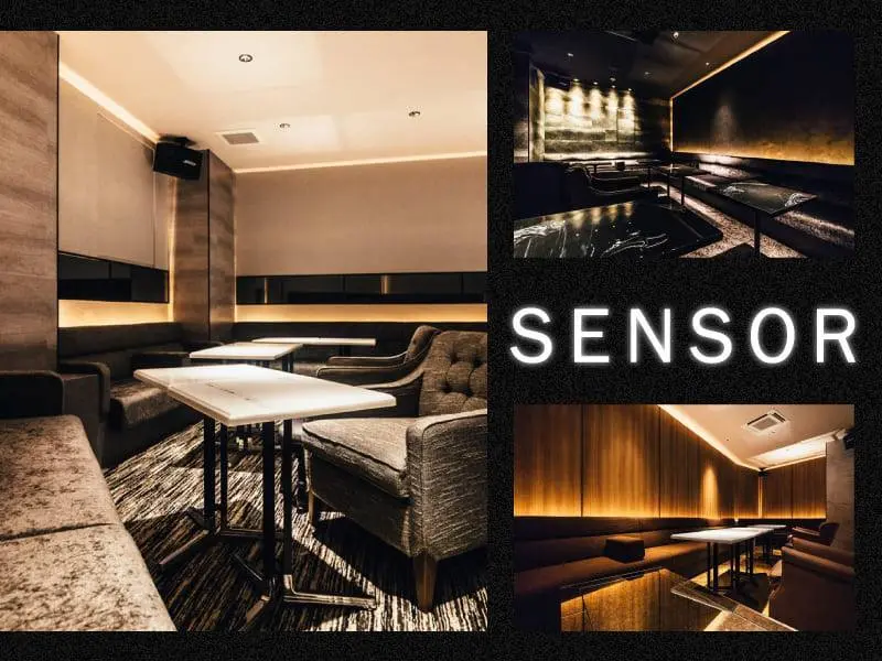 SENSOR（センサー）の写真1
