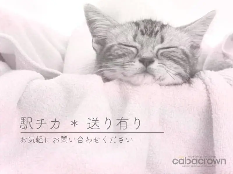 CLUB A（エース）の写真3