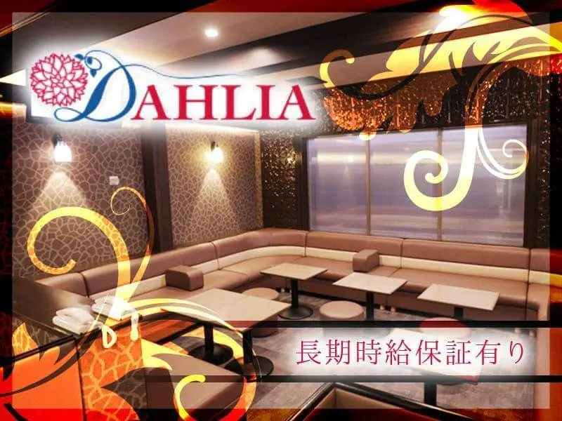 DAHLIA （ダリア）の写真1