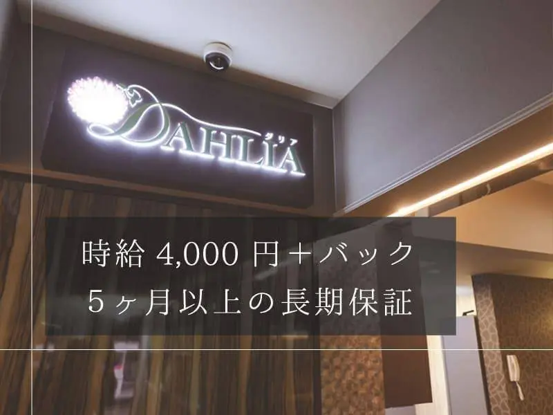 DAHLIA （ダリア）の写真2